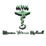 MVM-3D-Logo